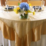 Patty's Linen Rentals in San Diego for Ceremony Draping Wedding Receptions