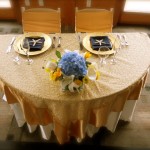 Patty's Linen Rentals in San Diego for Ceremony Draping Wedding Receptions