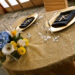 Patty's Linen Rentals in San Diego for Ceremony Draping Wedding Receptions