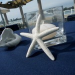 Patty's Linen Rentals in San Diego for Ceremony Draping Cocktail Parties