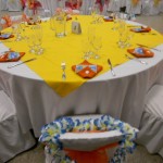 Patty's Linen Rentals in San Diego for Ceremony Drapings
