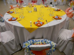Patty's Linen Rentals in San Diego for Ceremony Drapings